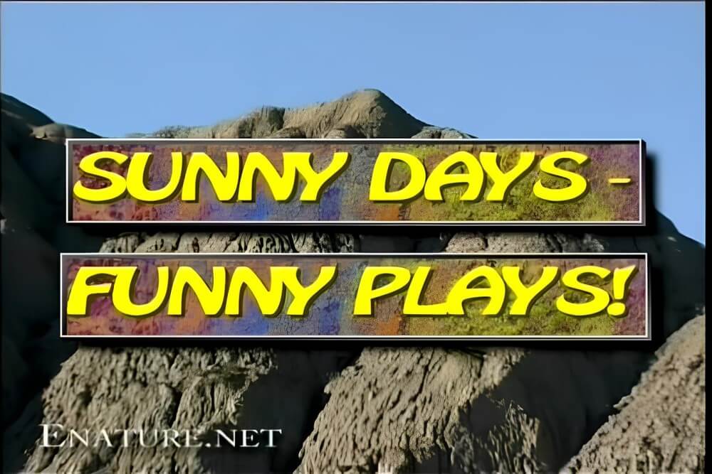 Enature - Sunny Days – Funny Plays - Nudism helps us understand the true meaning of freedom