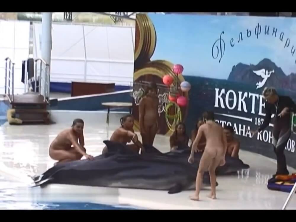 Relaxing at the dolphinarium - Thoughts on Naturism