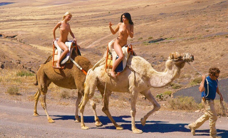 Funny Moments Life pics - A naturist values sincerity, as well as honesty and openness